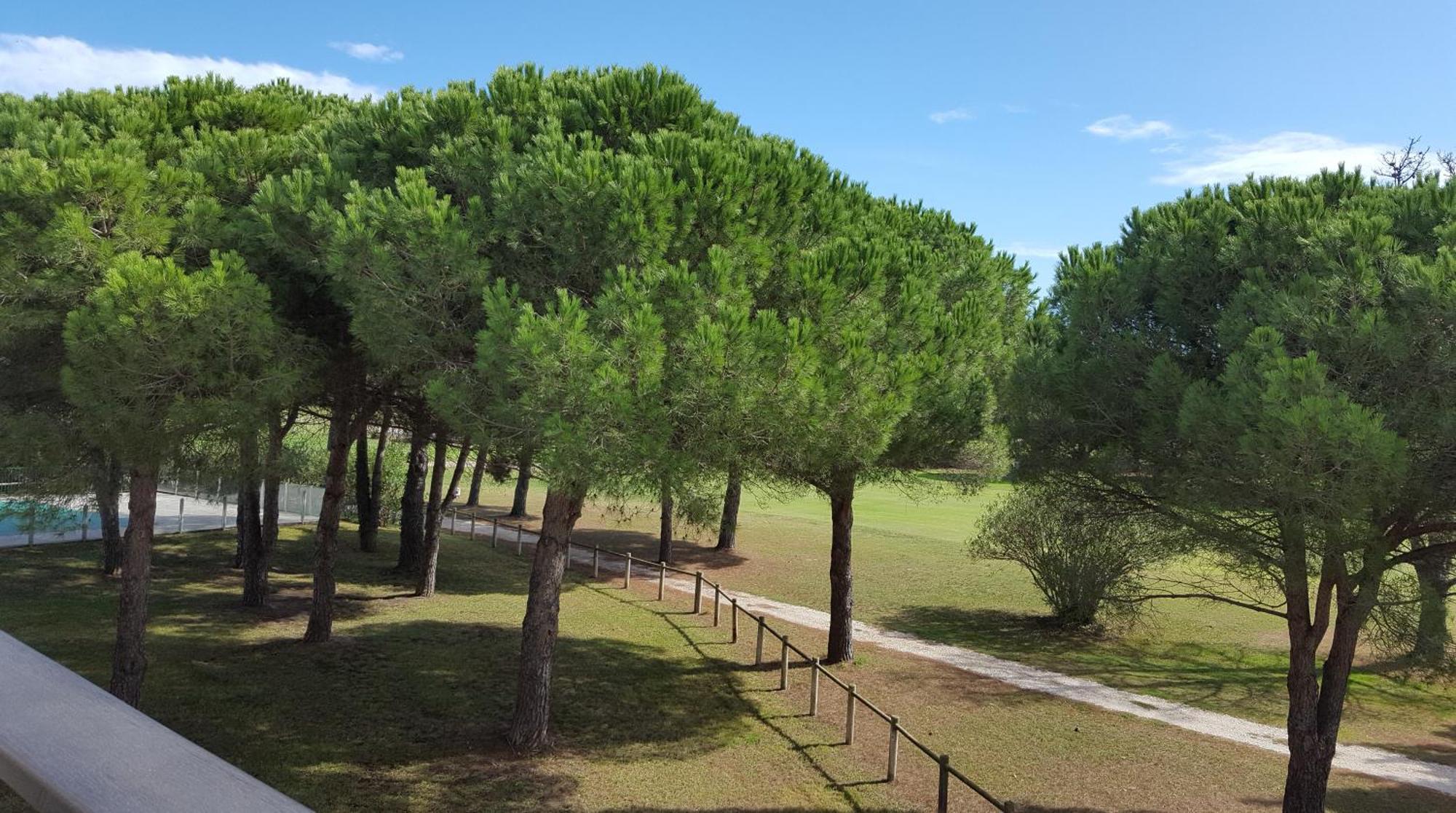 Vert Paradis - Vue Apaisante Sur Golf, Pins Parasols, 2E Etage - 80 M2 Dont Terrasse Avec Pergola, 2 Chambres, 3Et Iles, 3 Clim, Wifi - Piscine, Parking Et Park A Velos, Ascenseur - En Option Linge, Menage - Pistes Cyclables, Mer A Proximite サン・シプリアン エクステリア 写真